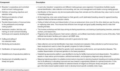 Welfare Impact of Community-Based Veterinary and Breeding Services on Small Ruminant Keepers